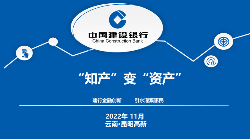 建设银行知识产权质押贷款介绍
